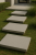 53C71B6B-012C-44A5-8674-CCBCDF1826FC.PNG
